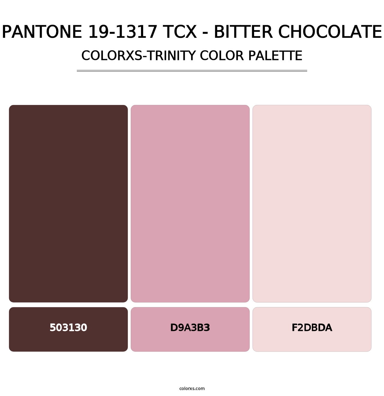PANTONE 19-1317 TCX - Bitter Chocolate - Colorxs Trinity Palette
