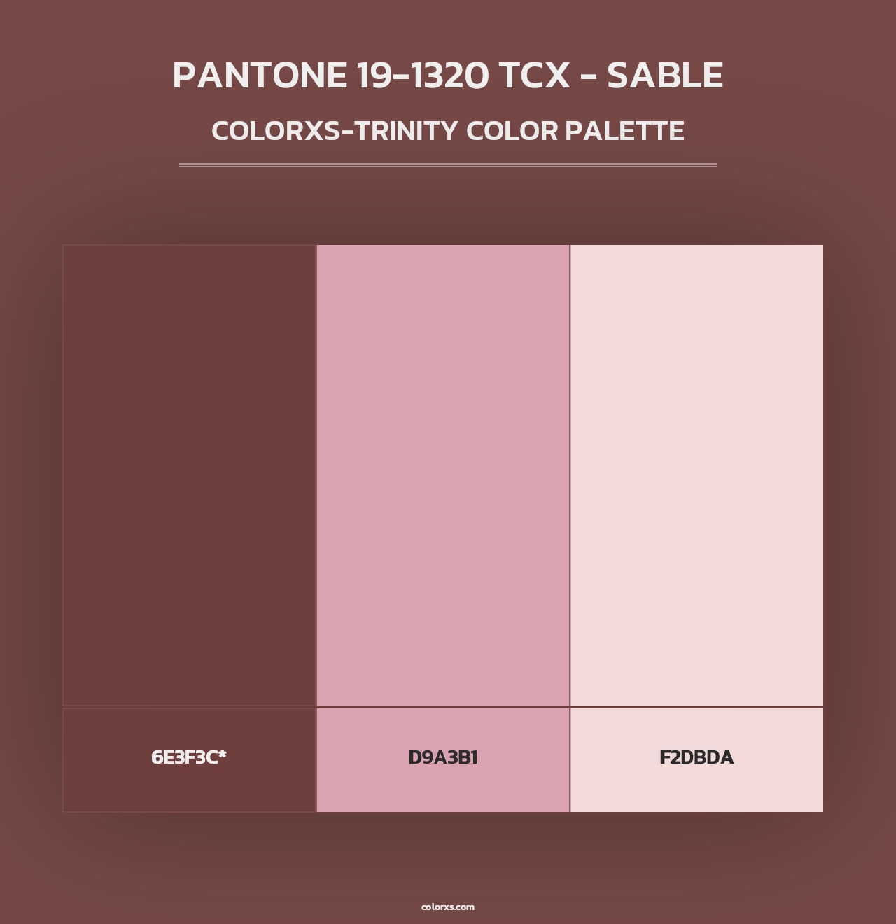 PANTONE 19-1320 TCX - Sable - Colorxs Trinity Palette