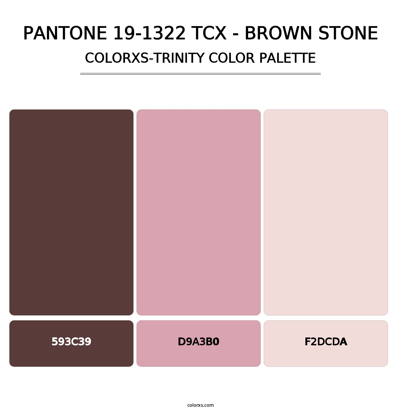 PANTONE 19-1322 TCX - Brown Stone - Colorxs Trinity Palette