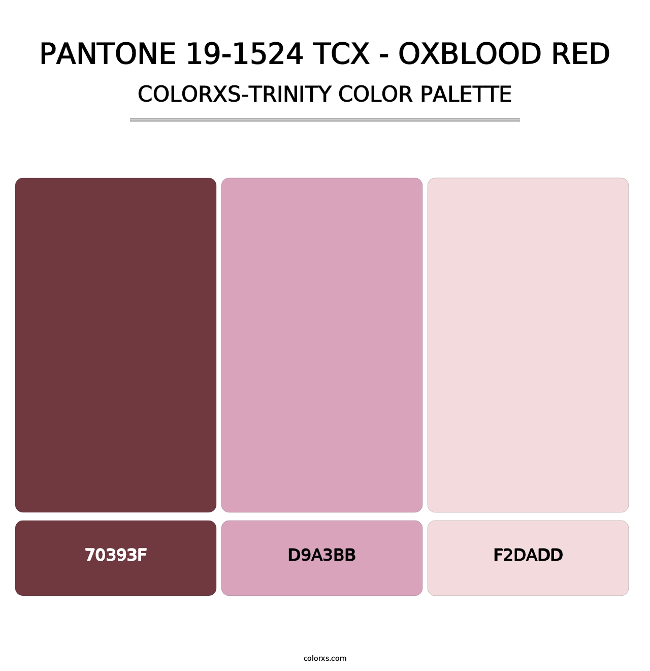 PANTONE 19-1524 TCX - Oxblood Red - Colorxs Trinity Palette