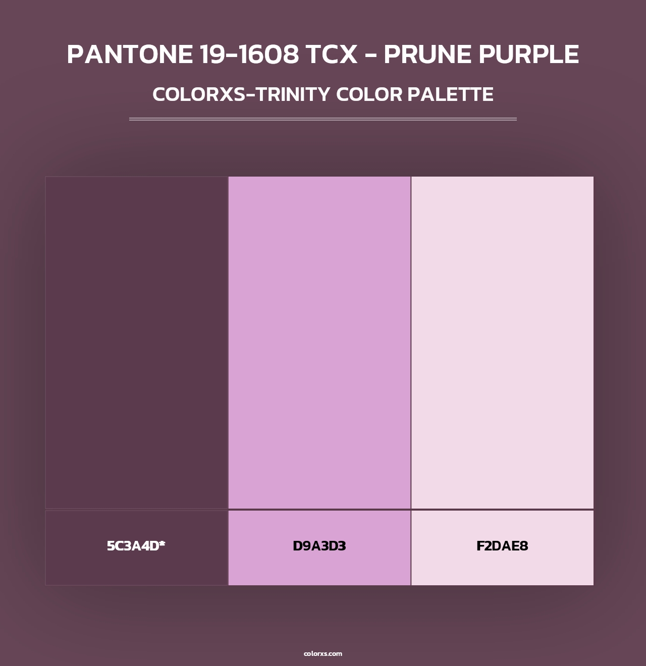 PANTONE 19-1608 TCX - Prune Purple - Colorxs Trinity Palette