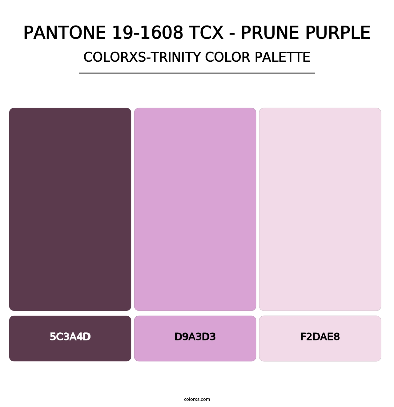 PANTONE 19-1608 TCX - Prune Purple - Colorxs Trinity Palette