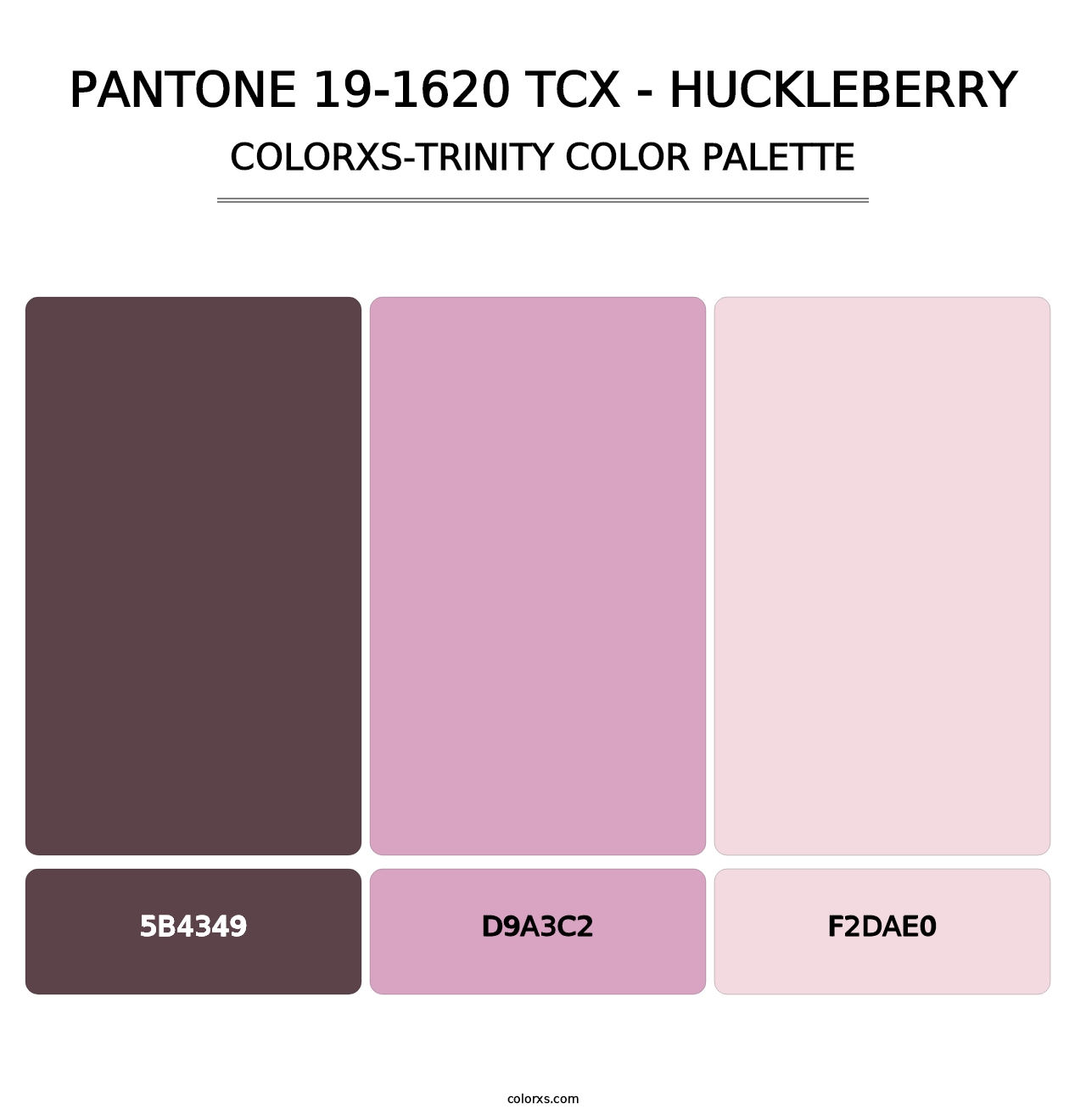 PANTONE 19-1620 TCX - Huckleberry - Colorxs Trinity Palette