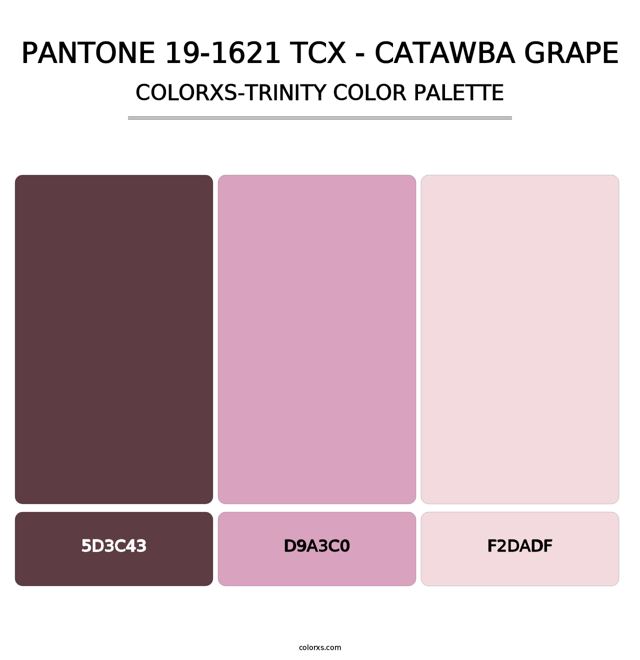 PANTONE 19-1621 TCX - Catawba Grape - Colorxs Trinity Palette