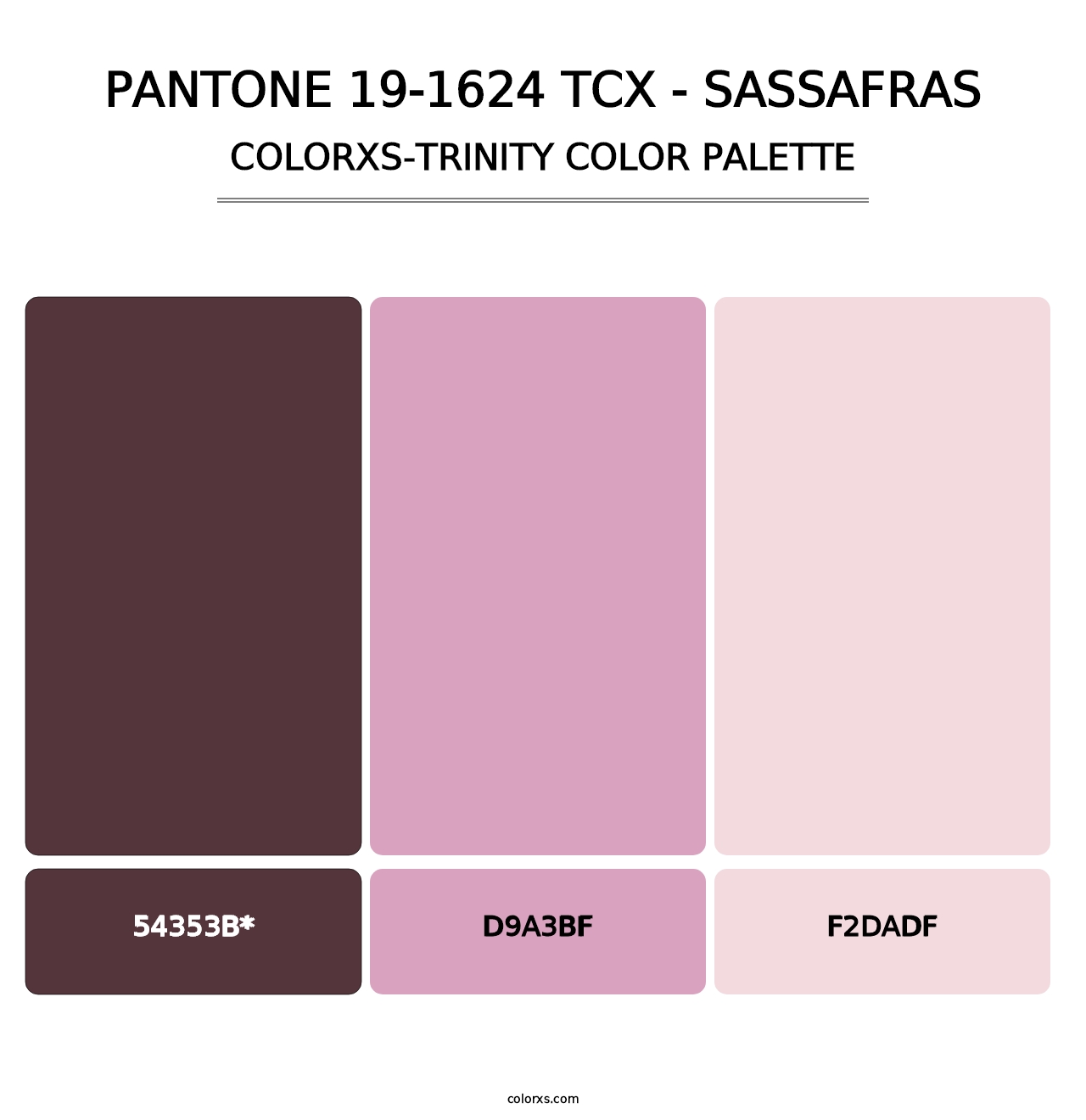 PANTONE 19-1624 TCX - Sassafras - Colorxs Trinity Palette