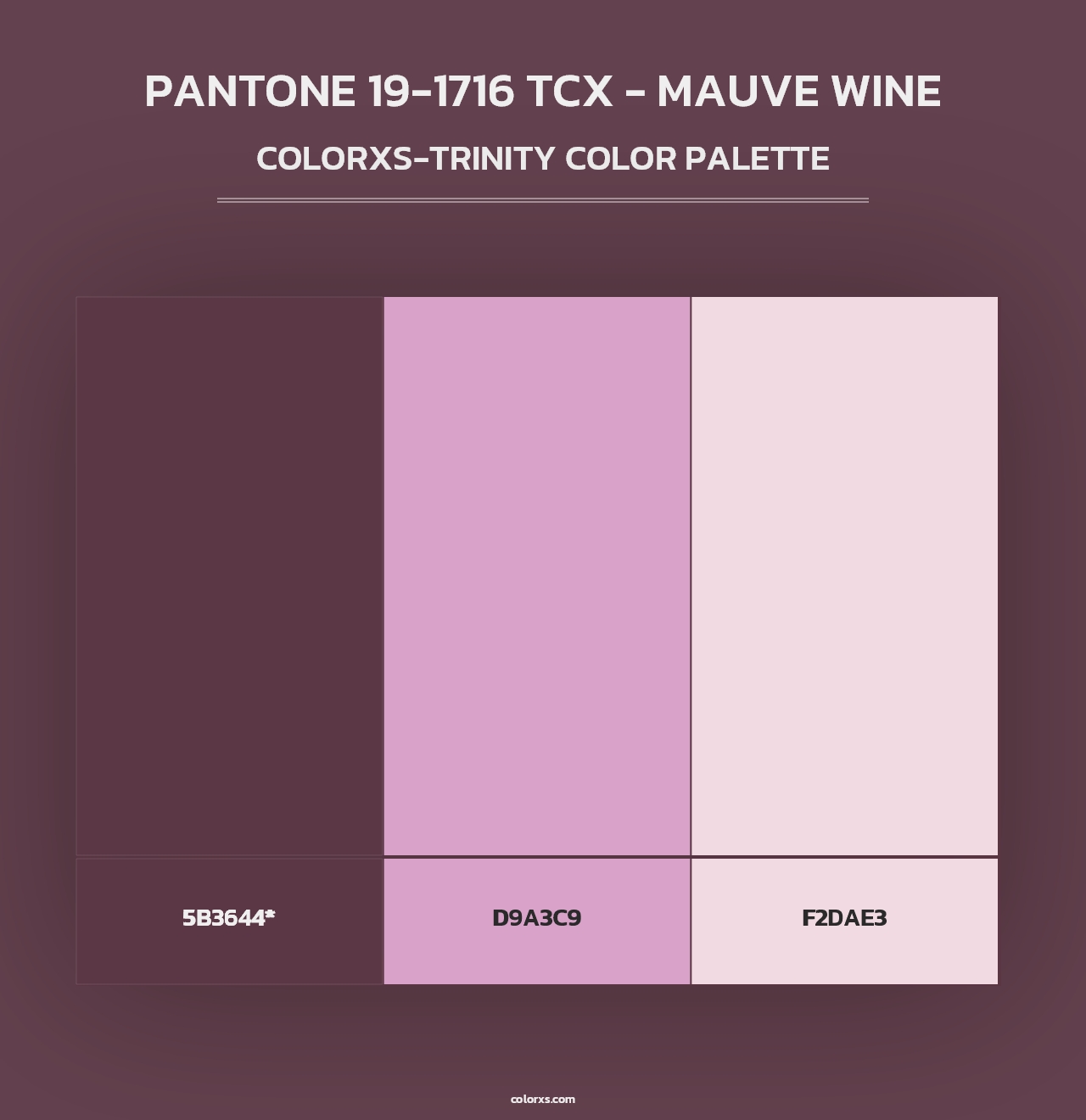 PANTONE 19-1716 TCX - Mauve Wine - Colorxs Trinity Palette