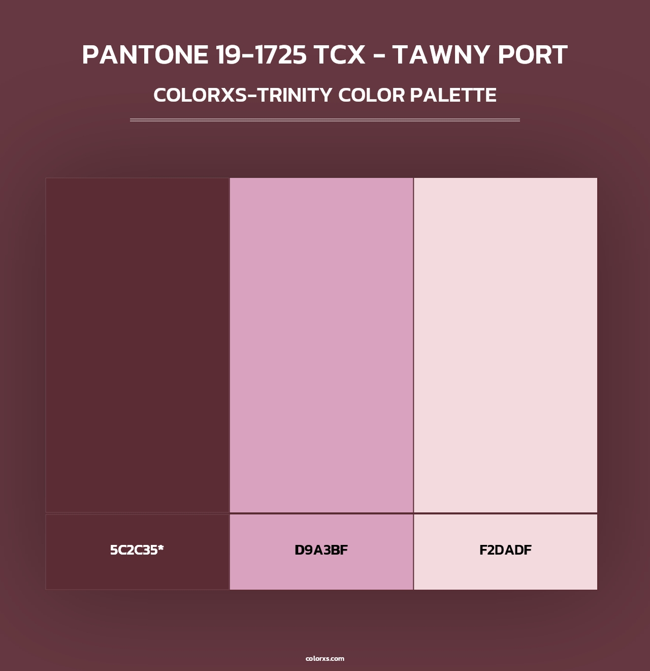 PANTONE 19-1725 TCX - Tawny Port - Colorxs Trinity Palette