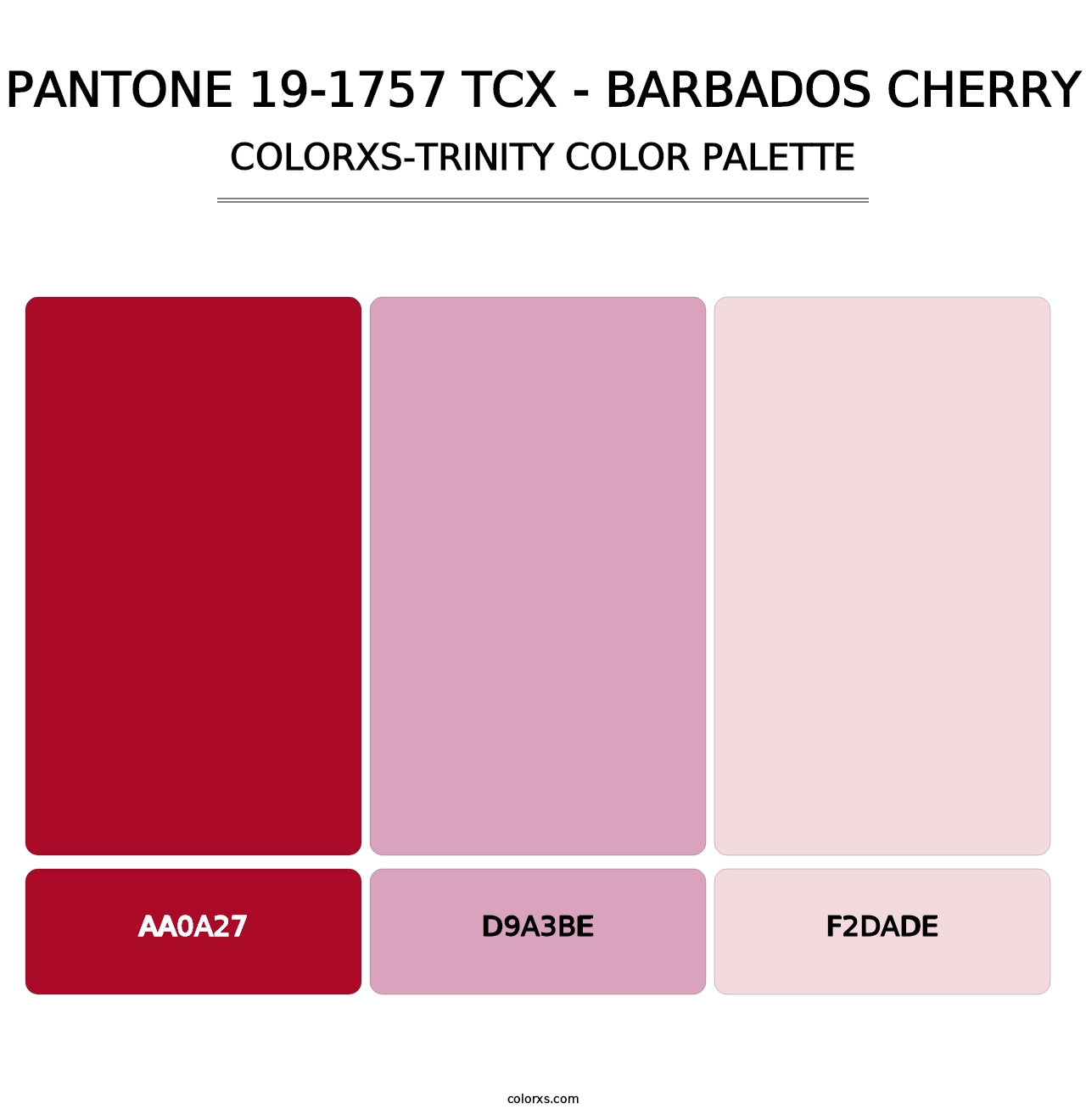 PANTONE 19-1757 TCX - Barbados Cherry - Colorxs Trinity Palette