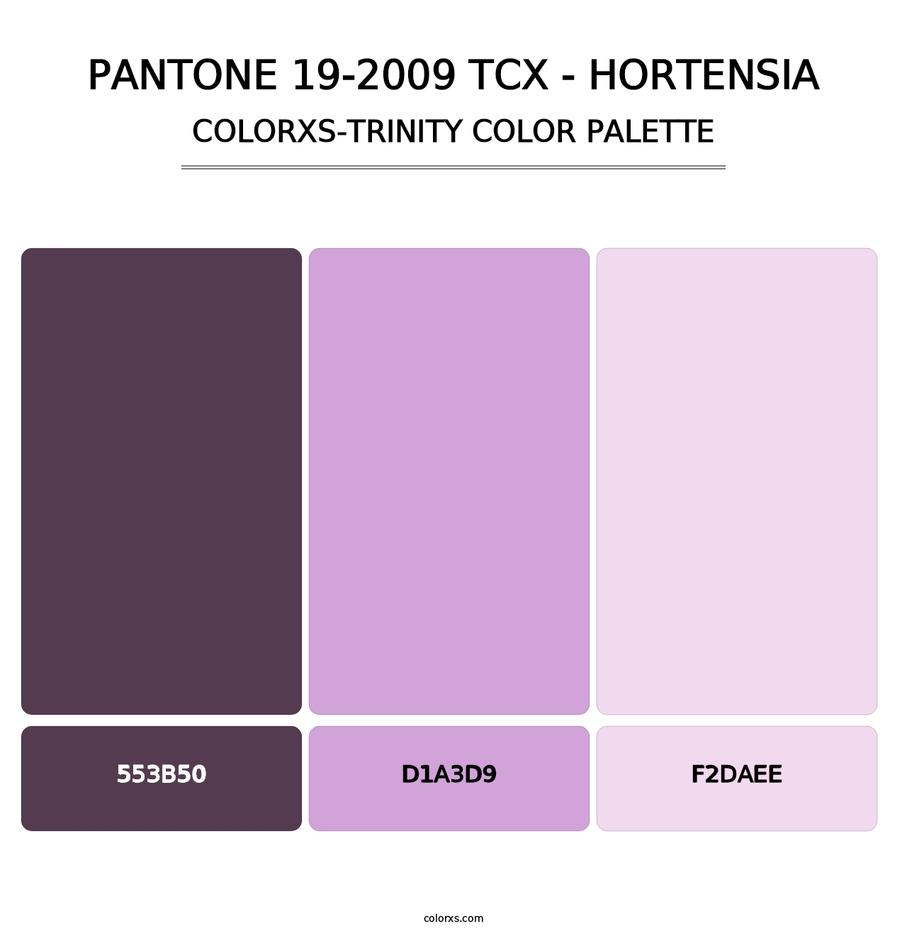 PANTONE 19-2009 TCX - Hortensia - Colorxs Trinity Palette