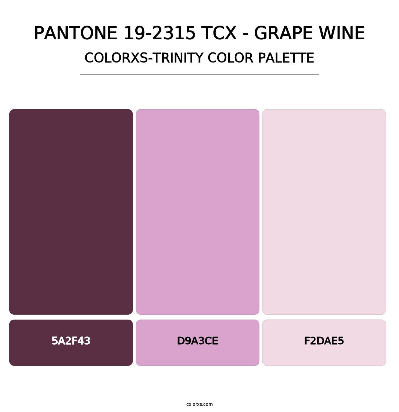 PANTONE 19-2315 TCX - Grape Wine - Colorxs Trinity Palette