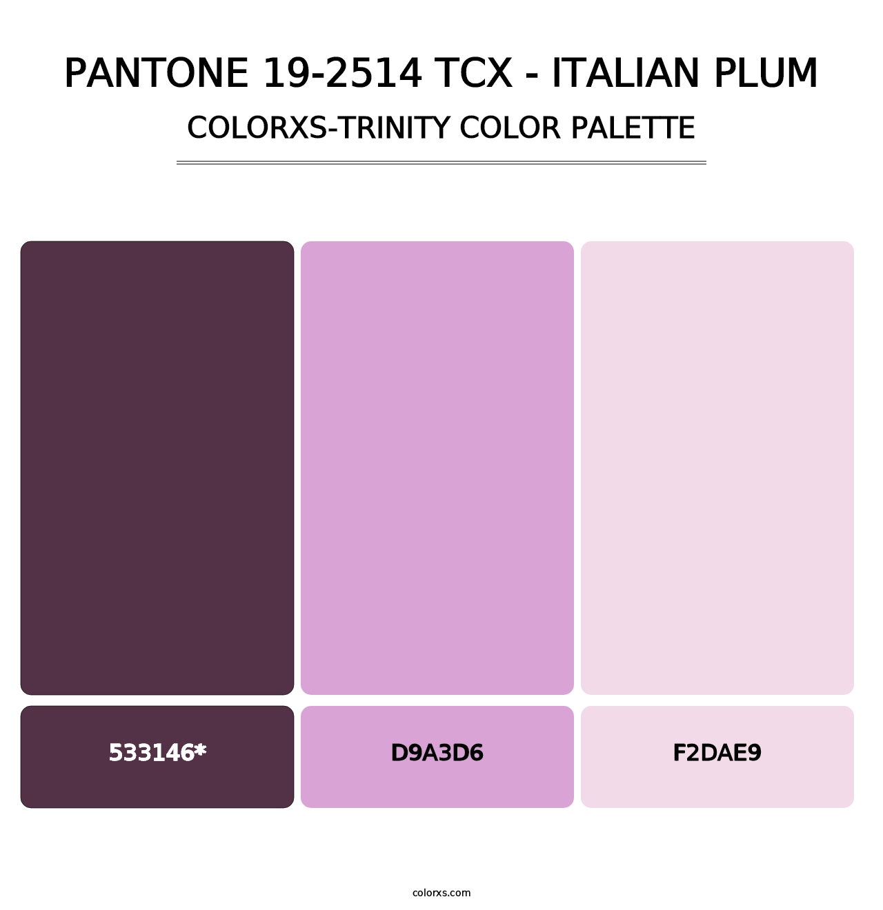 PANTONE 19-2514 TCX - Italian Plum - Colorxs Trinity Palette