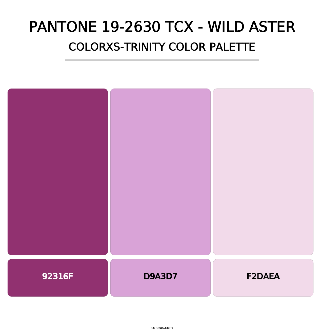 PANTONE 19-2630 TCX - Wild Aster - Colorxs Trinity Palette