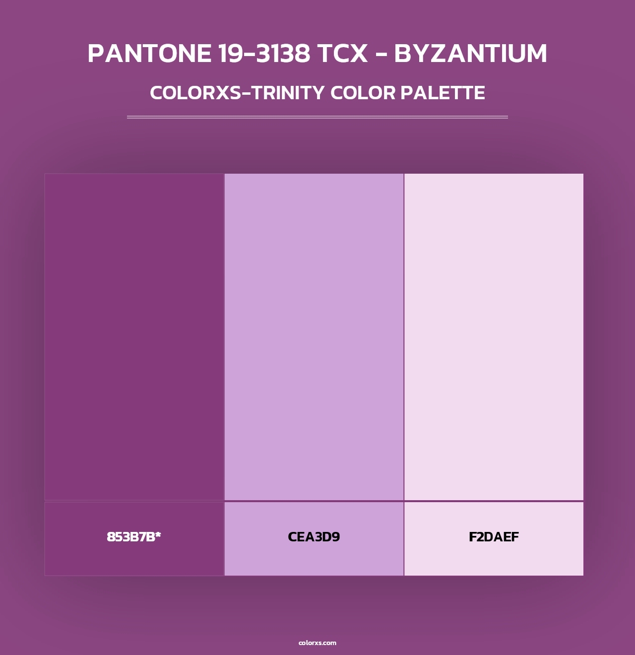 PANTONE 19-3138 TCX - Byzantium - Colorxs Trinity Palette