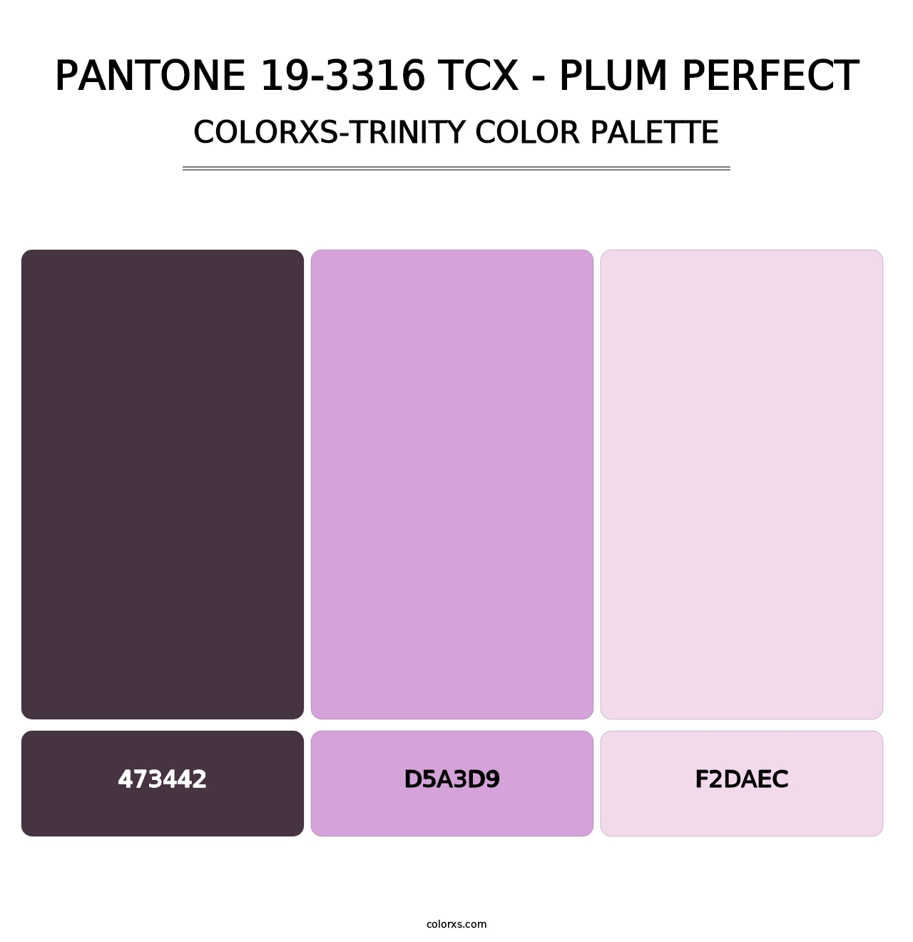PANTONE 19-3316 TCX - Plum Perfect - Colorxs Trinity Palette