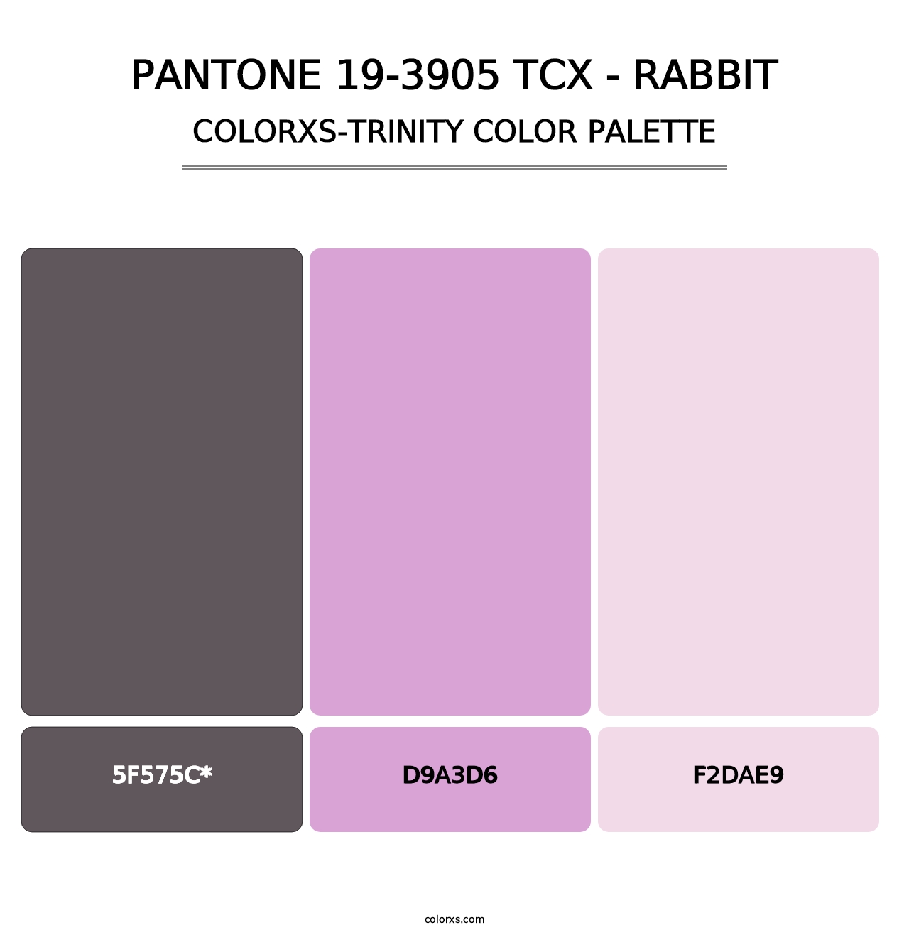 PANTONE 19-3905 TCX - Rabbit - Colorxs Trinity Palette
