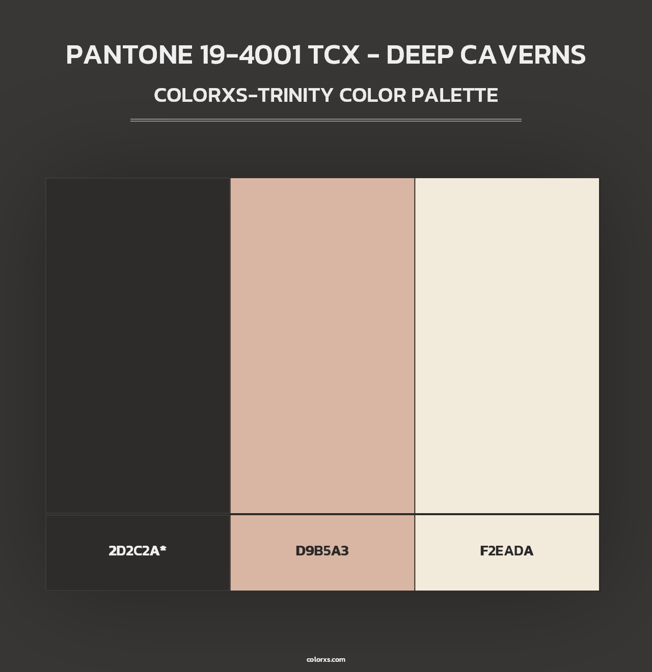 PANTONE 19-4001 TCX - Deep Caverns - Colorxs Trinity Palette