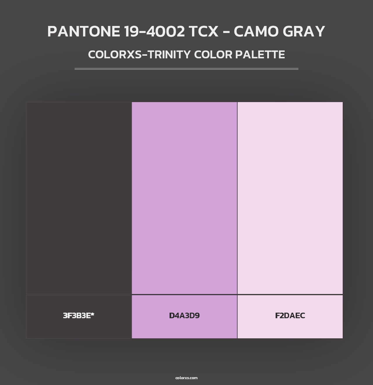 PANTONE 19-4002 TCX - Camo Gray - Colorxs Trinity Palette