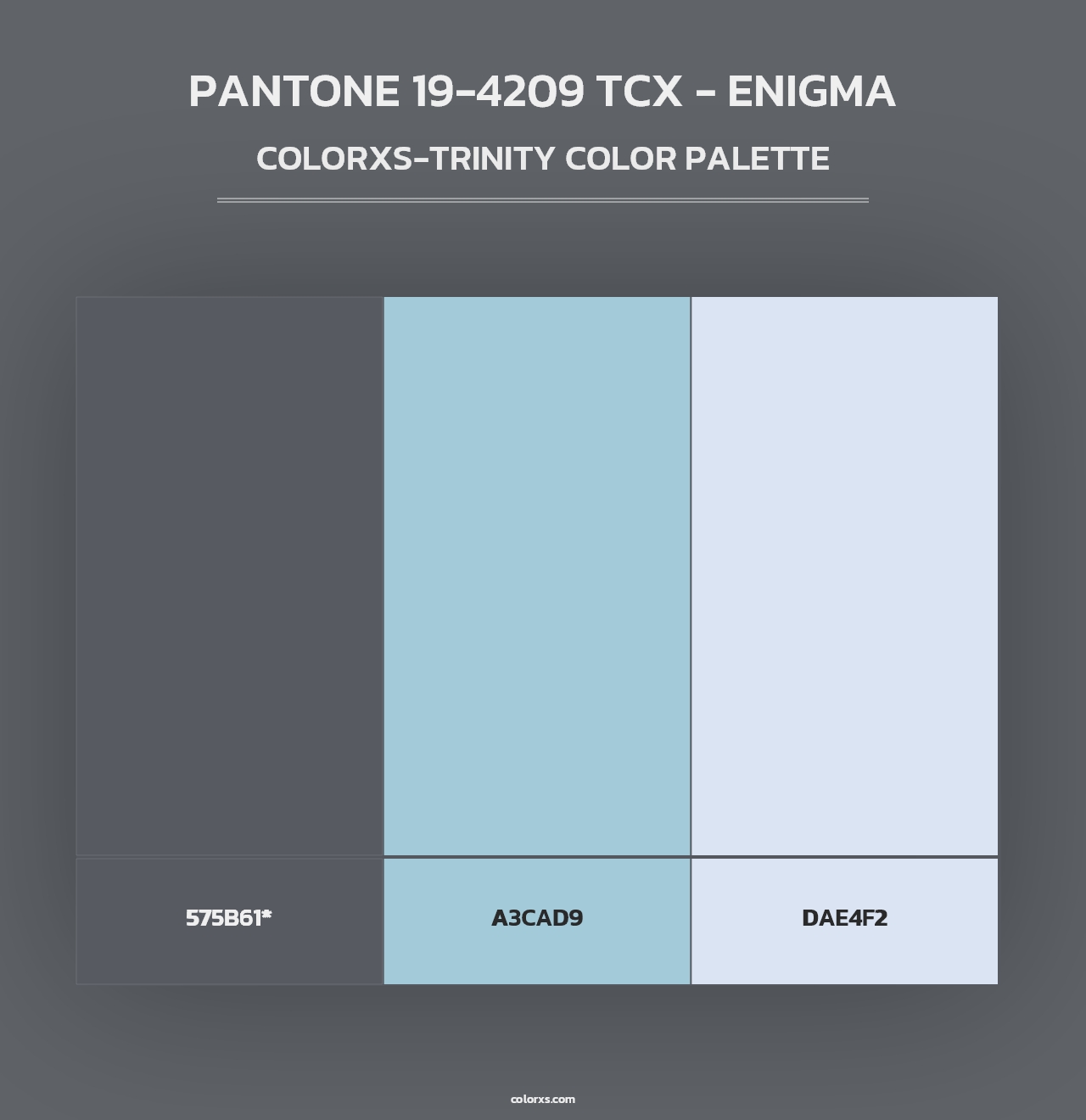 PANTONE 19-4209 TCX - Enigma - Colorxs Trinity Palette