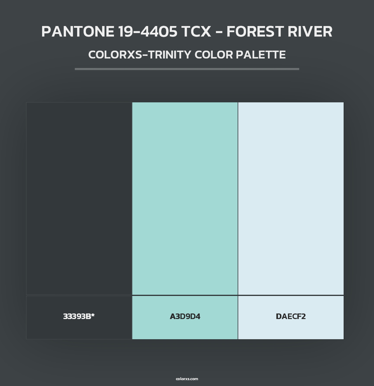 PANTONE 19-4405 TCX - Forest River - Colorxs Trinity Palette