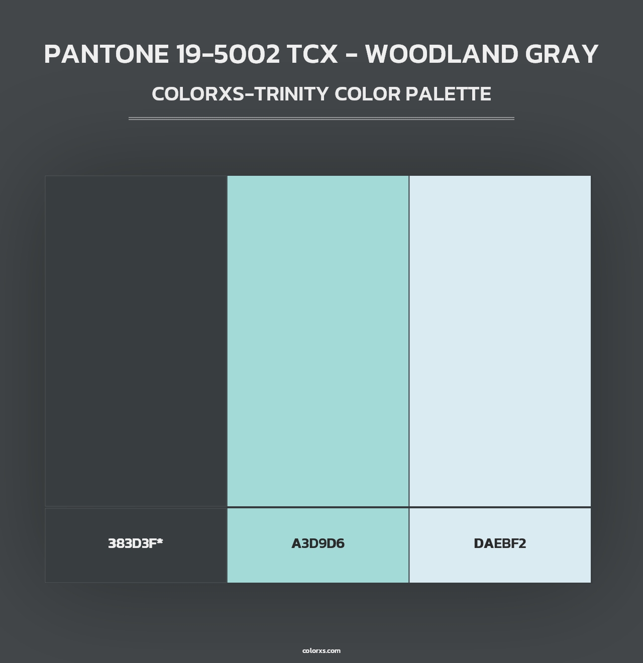 PANTONE 19-5002 TCX - Woodland Gray - Colorxs Trinity Palette