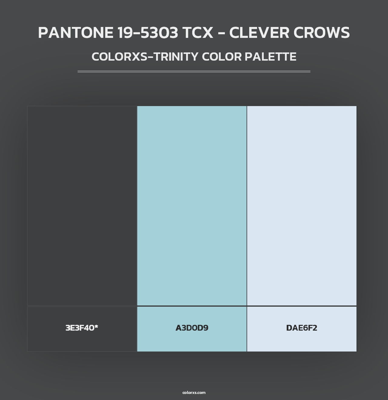 PANTONE 19-5303 TCX - Clever Crows - Colorxs Trinity Palette