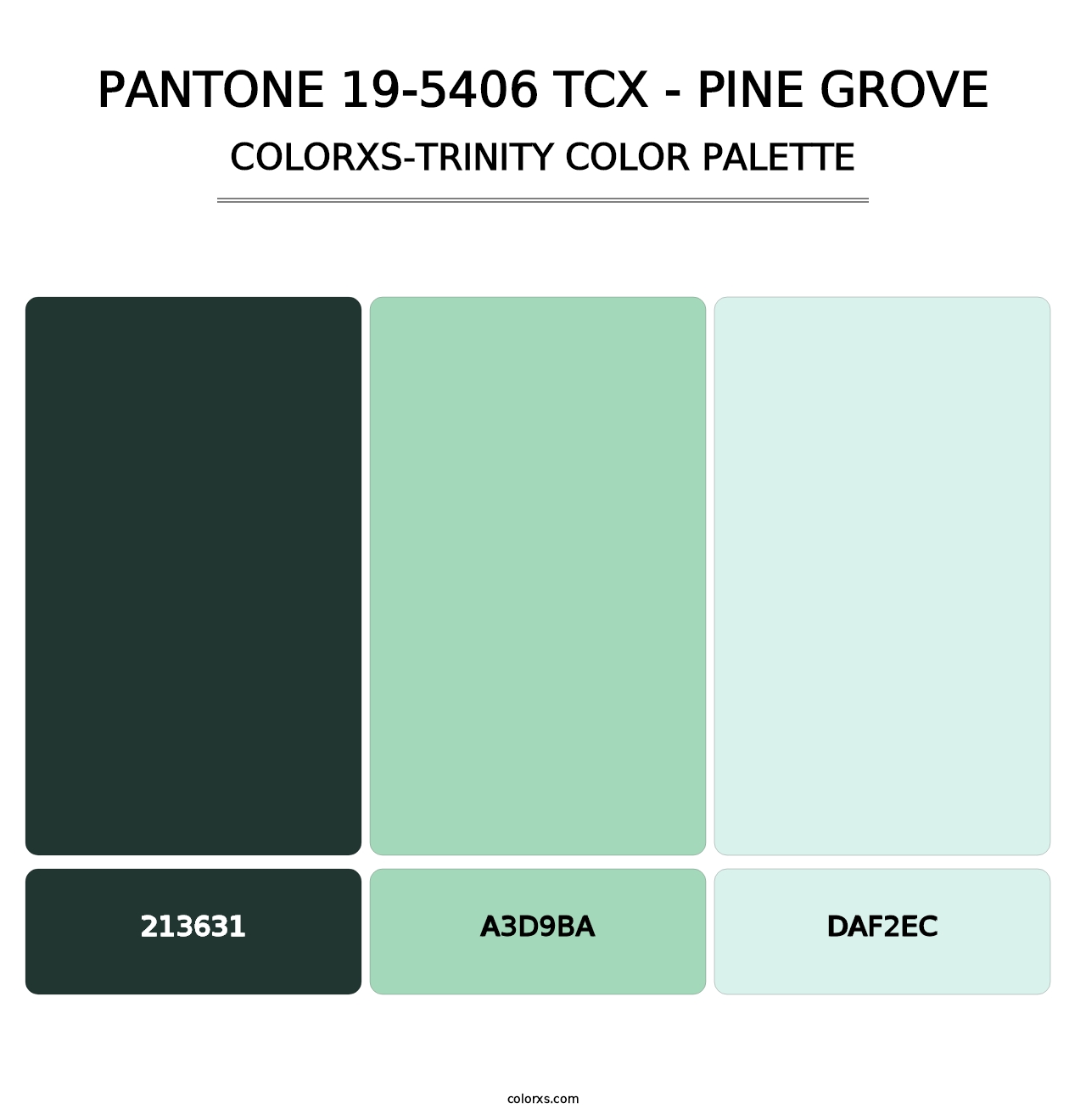 PANTONE 19-5406 TCX - Pine Grove - Colorxs Trinity Palette