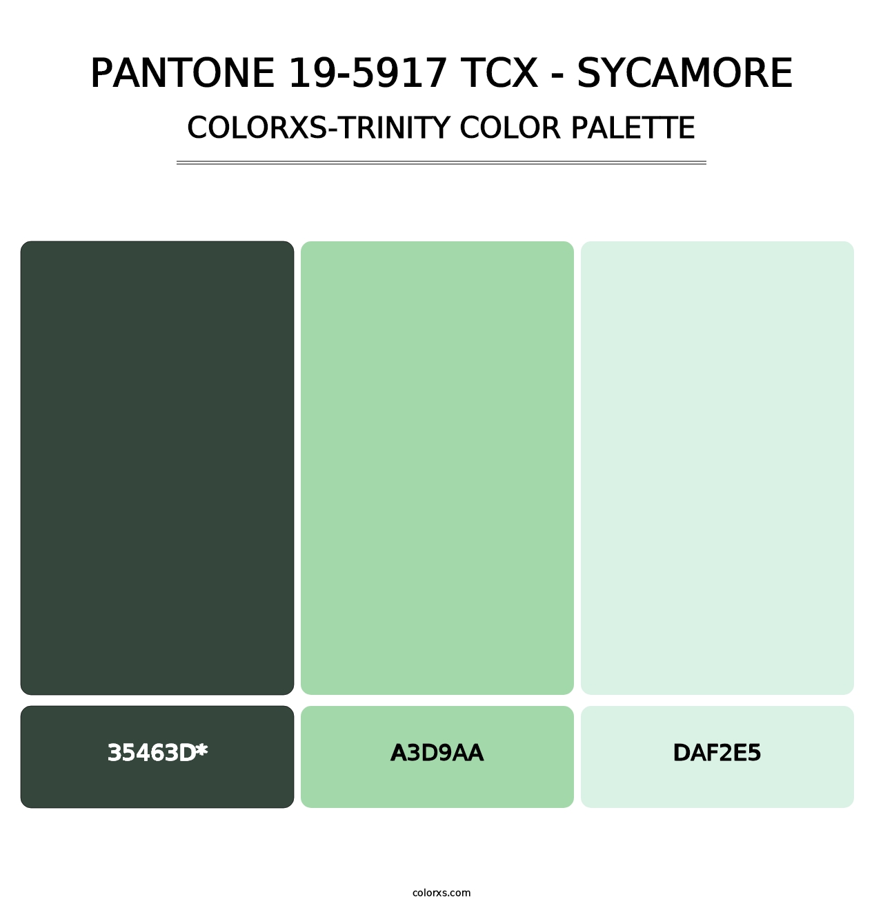 PANTONE 19-5917 TCX - Sycamore - Colorxs Trinity Palette