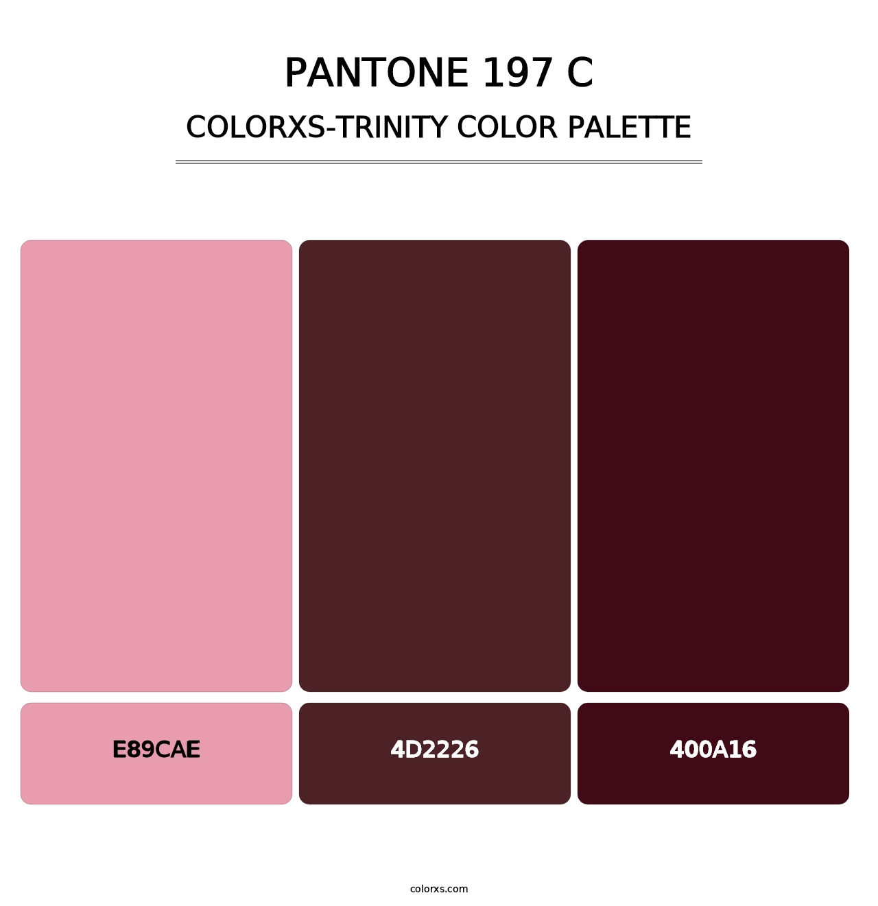 PANTONE 197 C - Colorxs Trinity Palette