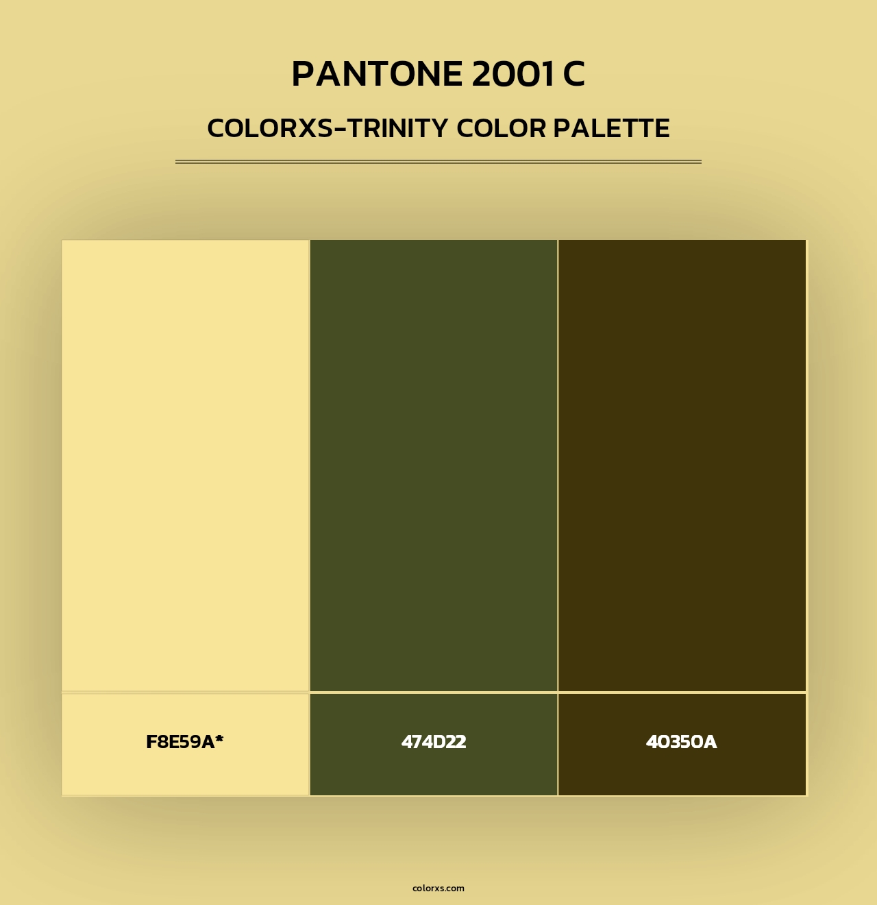 PANTONE 2001 C - Colorxs Trinity Palette