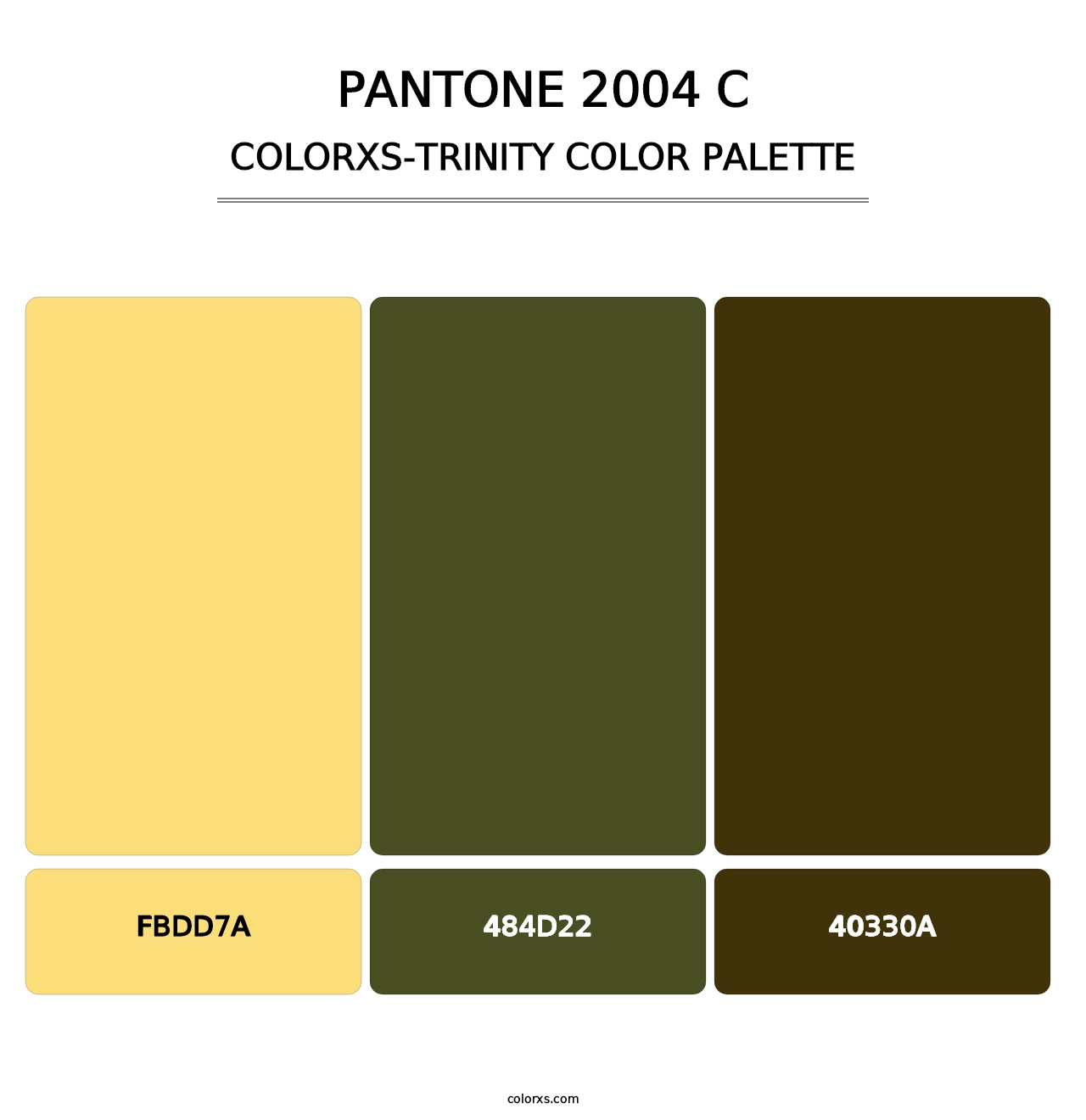 PANTONE 2004 C - Colorxs Trinity Palette