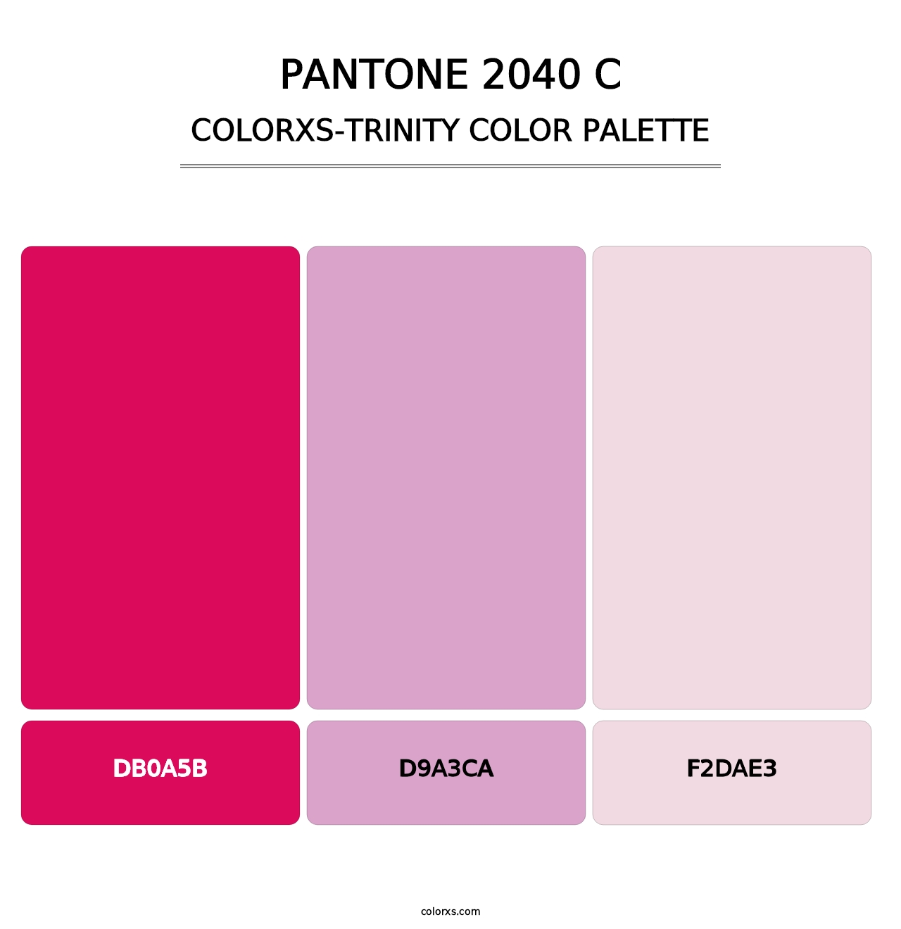 PANTONE 2040 C - Colorxs Trinity Palette
