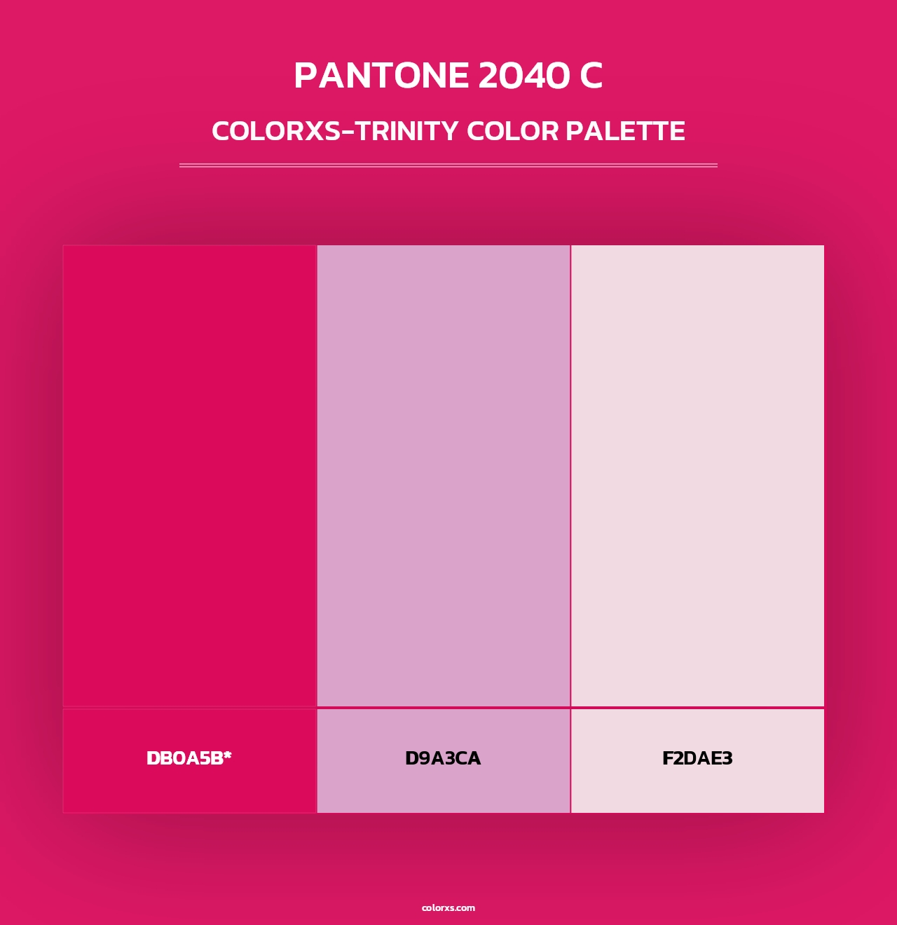 PANTONE 2040 C - Colorxs Trinity Palette