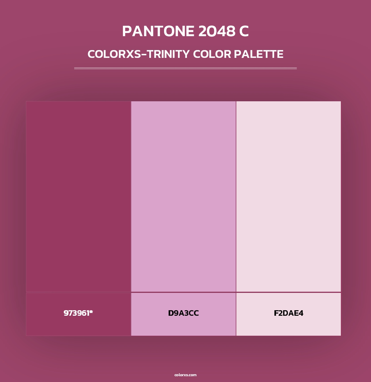 PANTONE 2048 C - Colorxs Trinity Palette