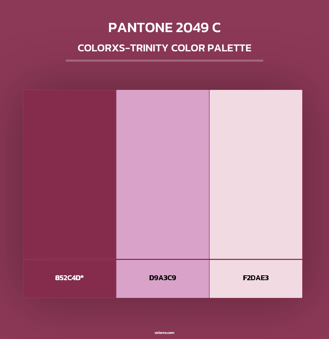 PANTONE 2049 C - Colorxs Trinity Palette