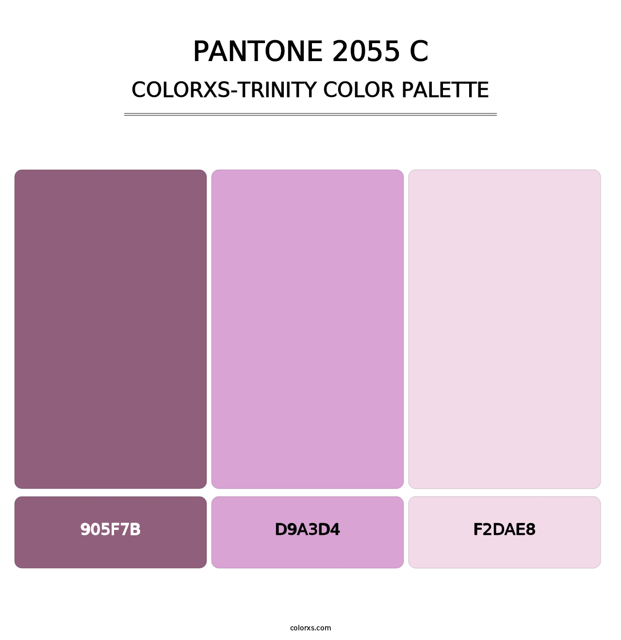 PANTONE 2055 C - Colorxs Trinity Palette