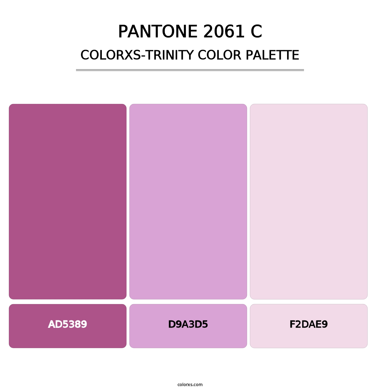 PANTONE 2061 C - Colorxs Trinity Palette