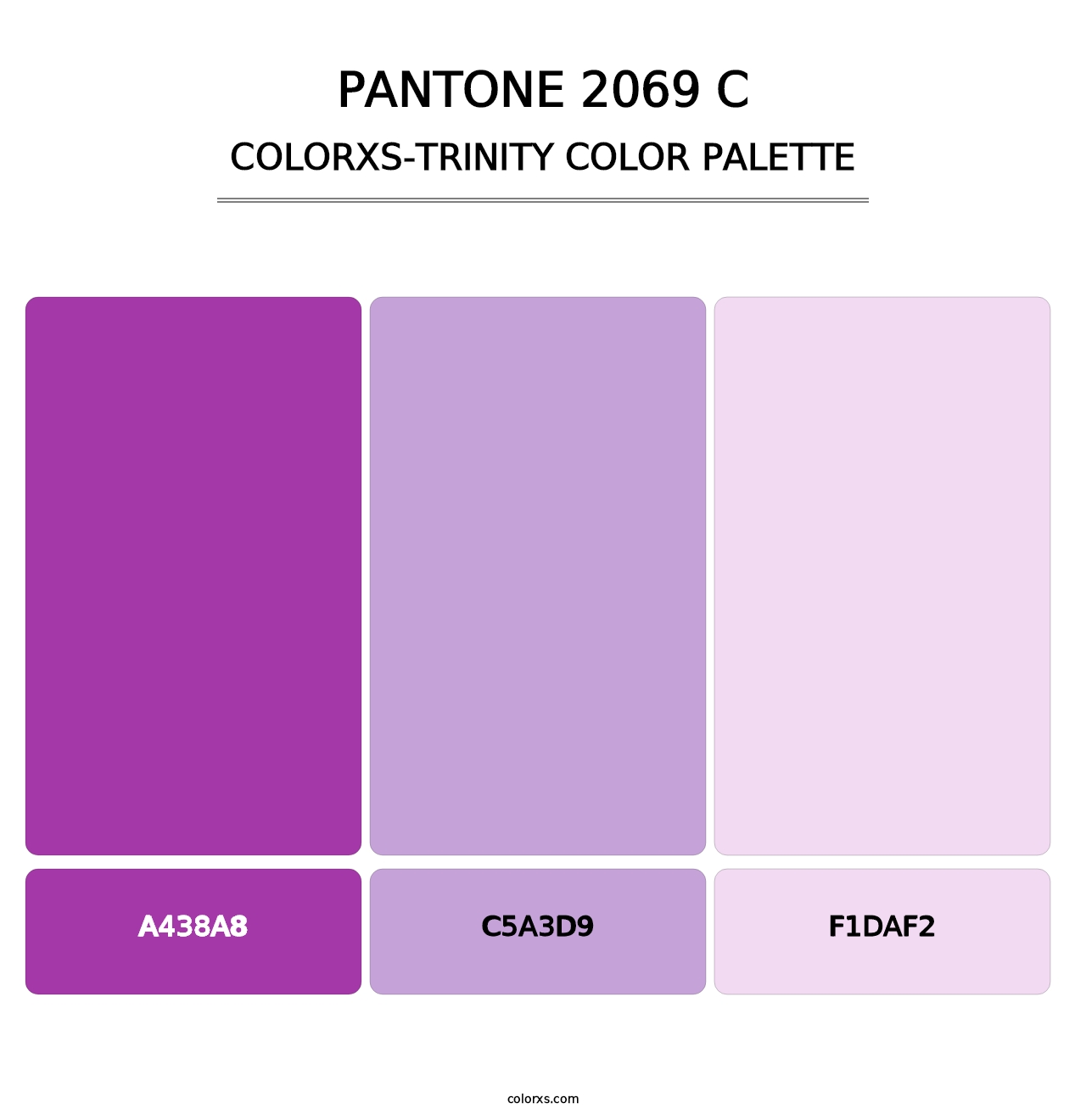 PANTONE 2069 C - Colorxs Trinity Palette