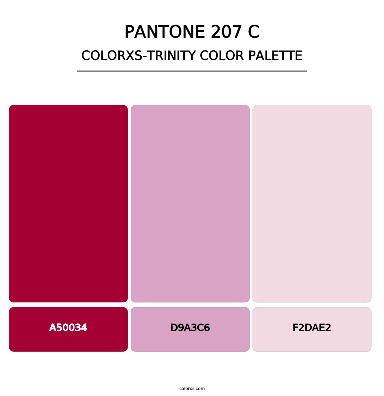 PANTONE 207 C - Colorxs Trinity Palette