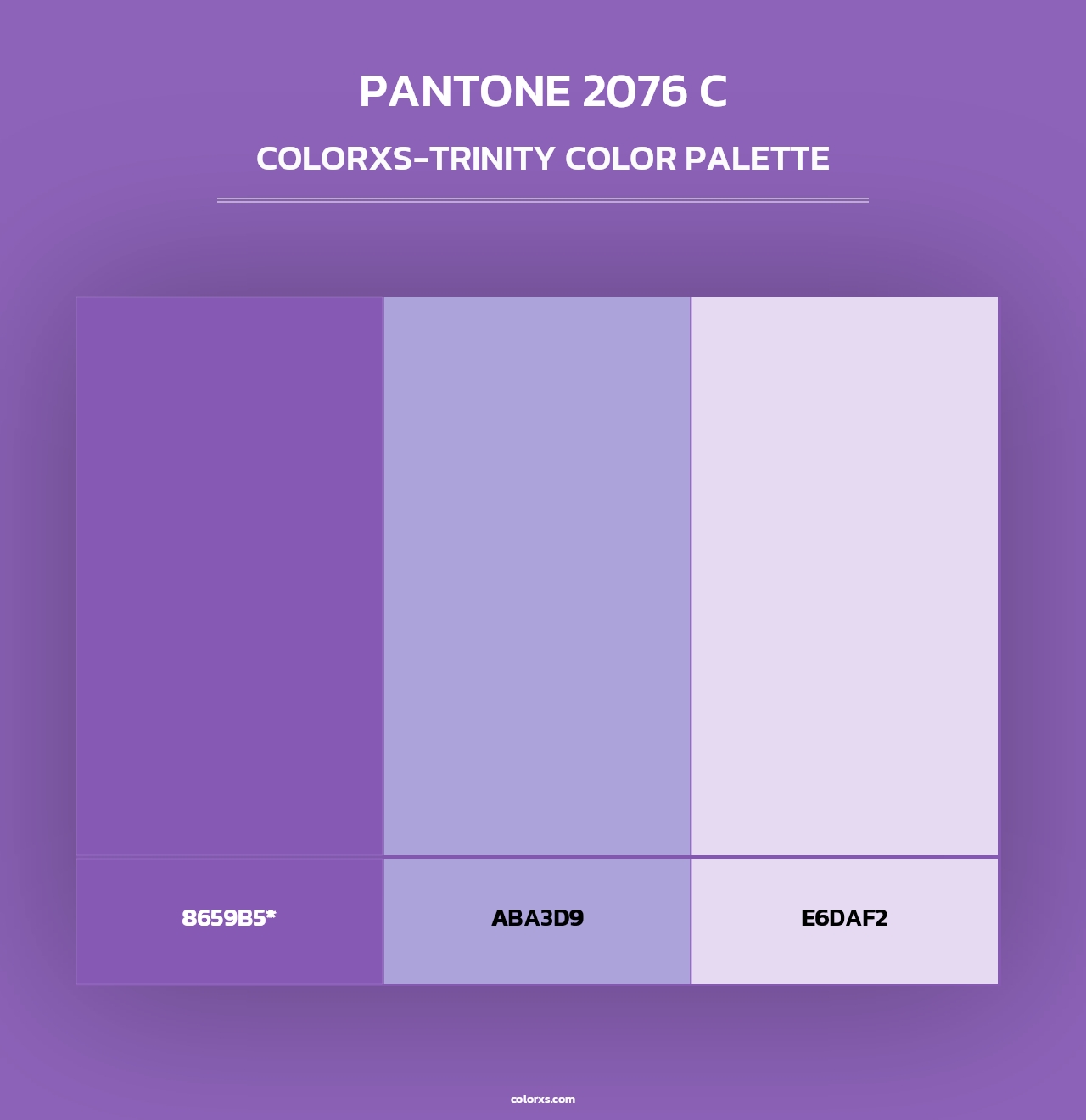 PANTONE 2076 C - Colorxs Trinity Palette