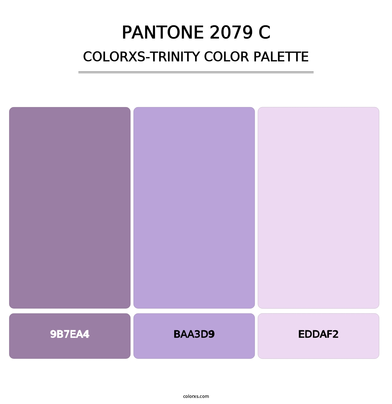 PANTONE 2079 C - Colorxs Trinity Palette