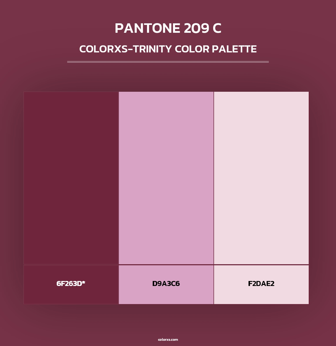 PANTONE 209 C - Colorxs Trinity Palette