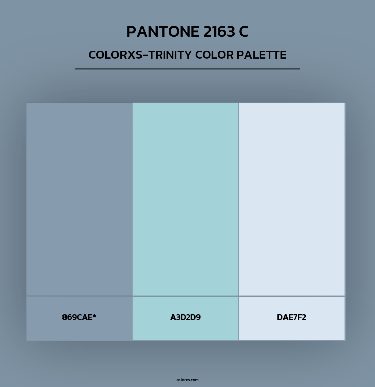 PANTONE 2163 C - Colorxs Trinity Palette