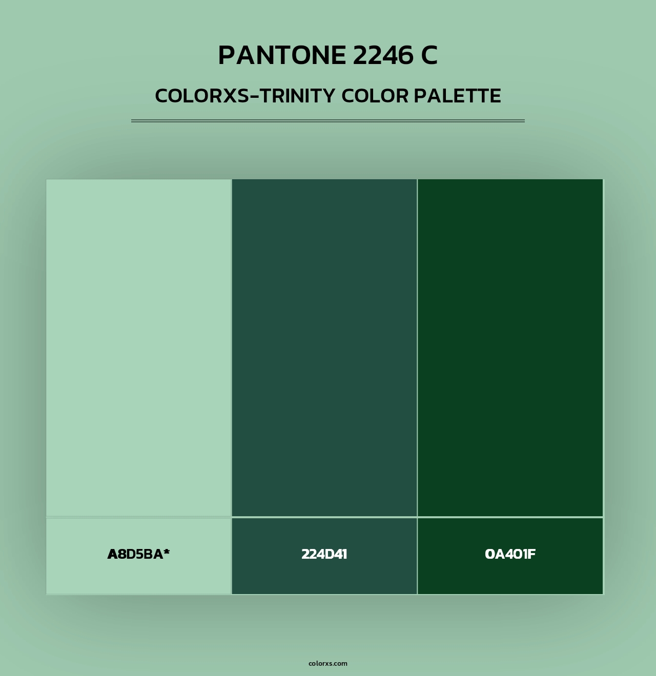 PANTONE 2246 C - Colorxs Trinity Palette