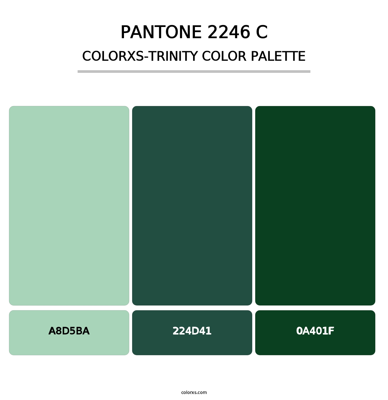 PANTONE 2246 C - Colorxs Trinity Palette