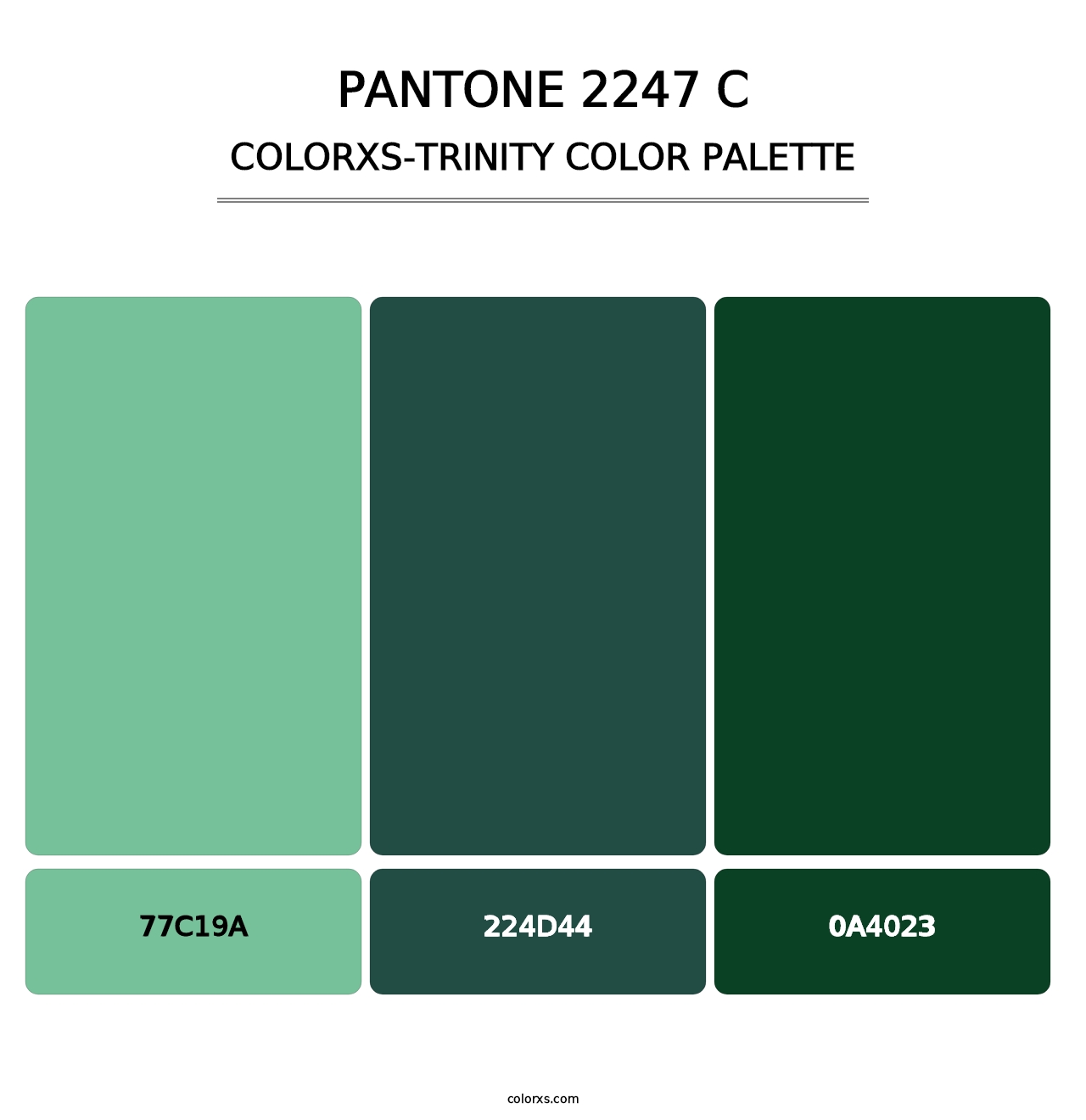 PANTONE 2247 C - Colorxs Trinity Palette
