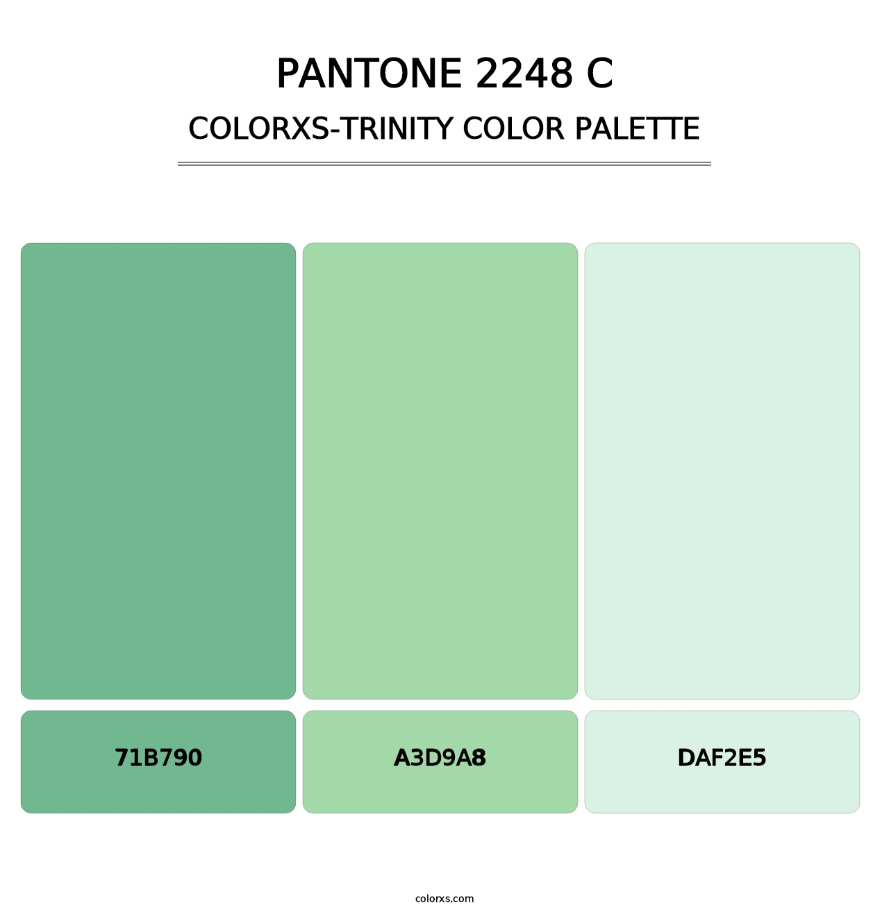 PANTONE 2248 C - Colorxs Trinity Palette