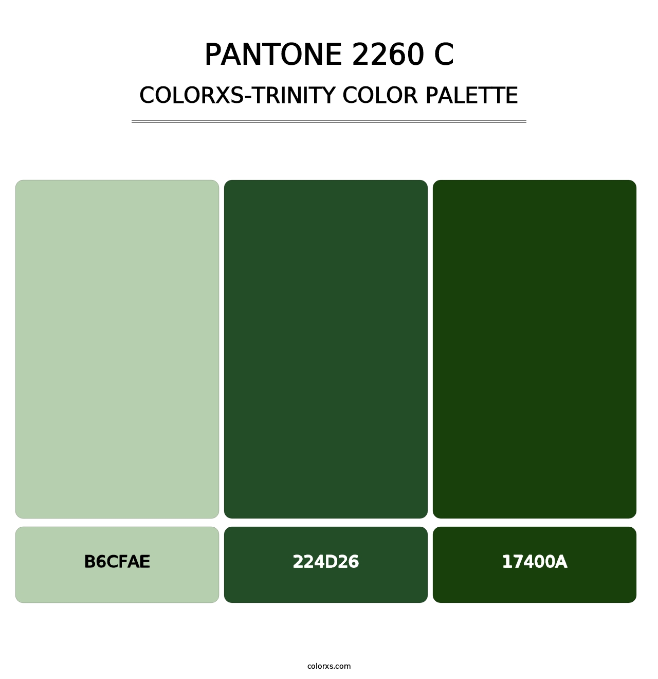 PANTONE 2260 C - Colorxs Trinity Palette