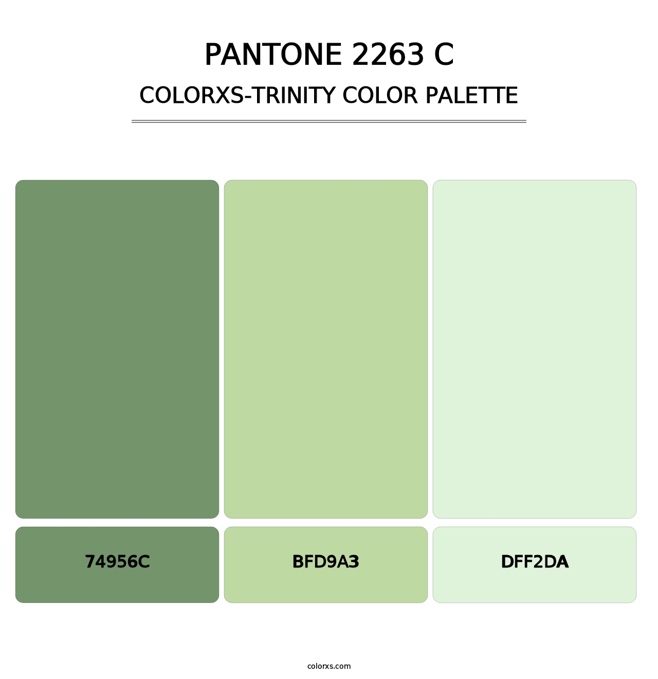 PANTONE 2263 C - Colorxs Trinity Palette