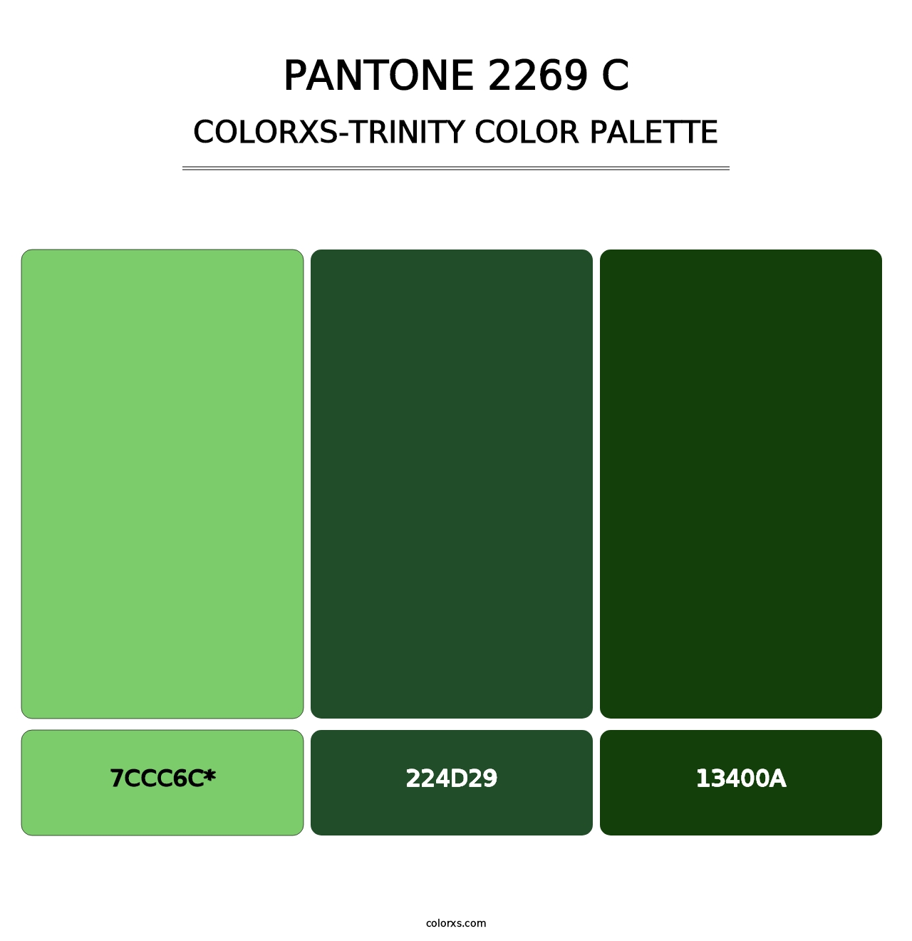 PANTONE 2269 C - Colorxs Trinity Palette