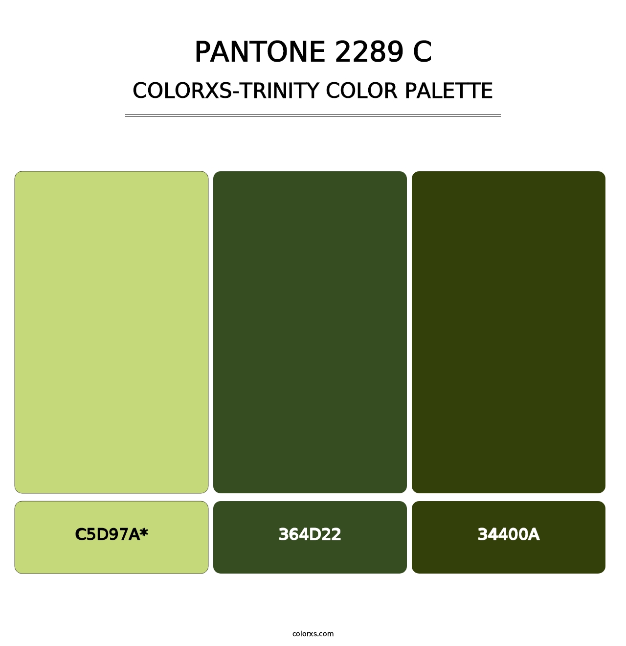 PANTONE 2289 C - Colorxs Trinity Palette